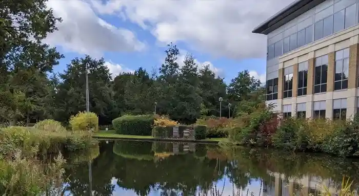 Business building with lake