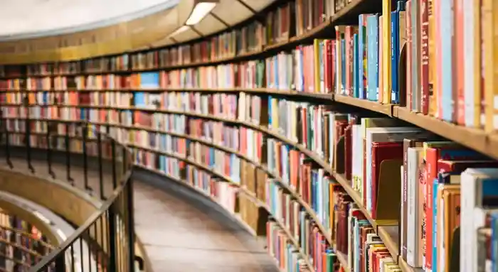 Library book shelves